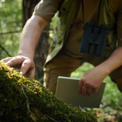 Unrecognizable male scientist working in forest holding digital tablet touching moss on tree with his hand